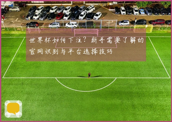 世界杯如何下注？新手需要了解的官网识别与平台选择技巧
