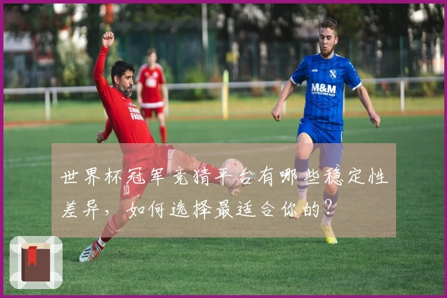 世界杯冠军竞猜平台有哪些稳定性差异，如何选择最适合你的？
