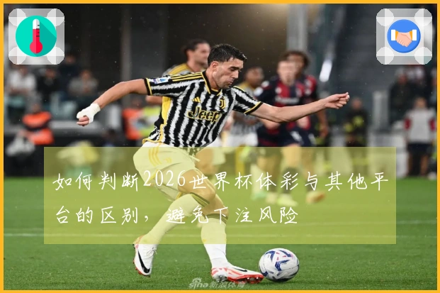 如何判断2026世界杯体彩与其他平台的区别，避免下注风险