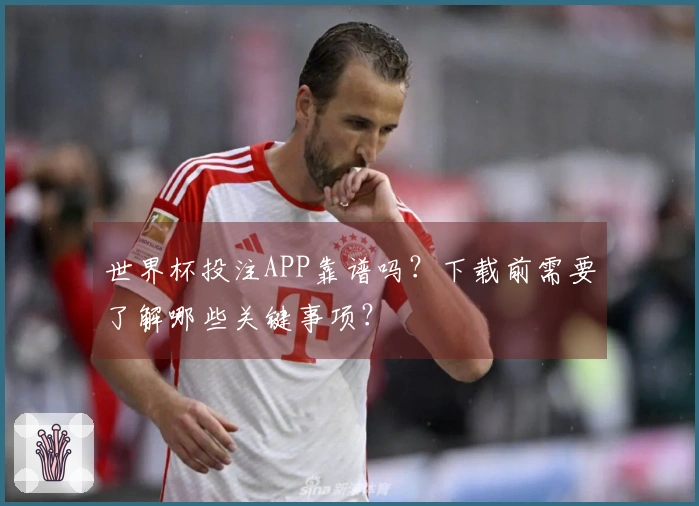 世界杯投注APP靠谱吗？下载前需要了解哪些关键事项？