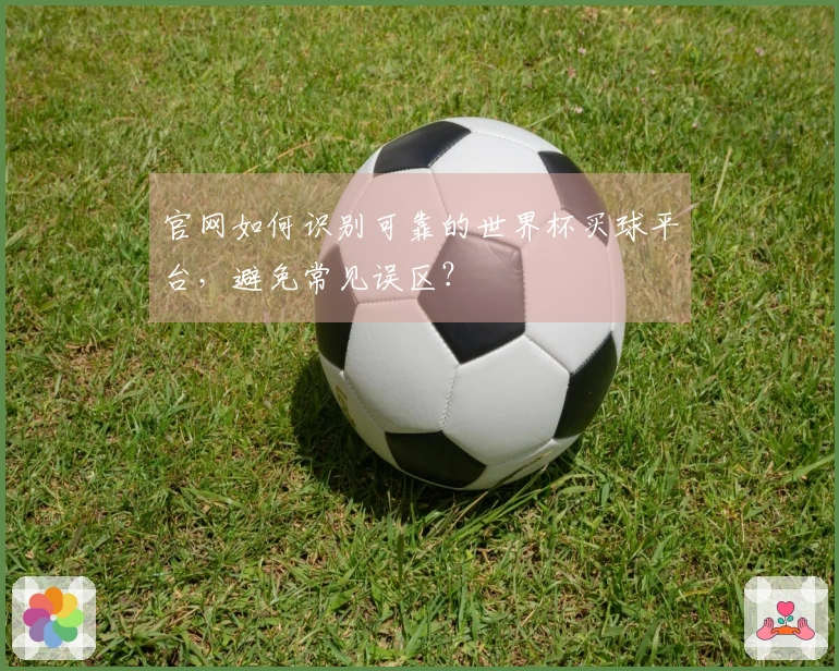 官网如何识别可靠的世界杯买球平台，避免常见误区？