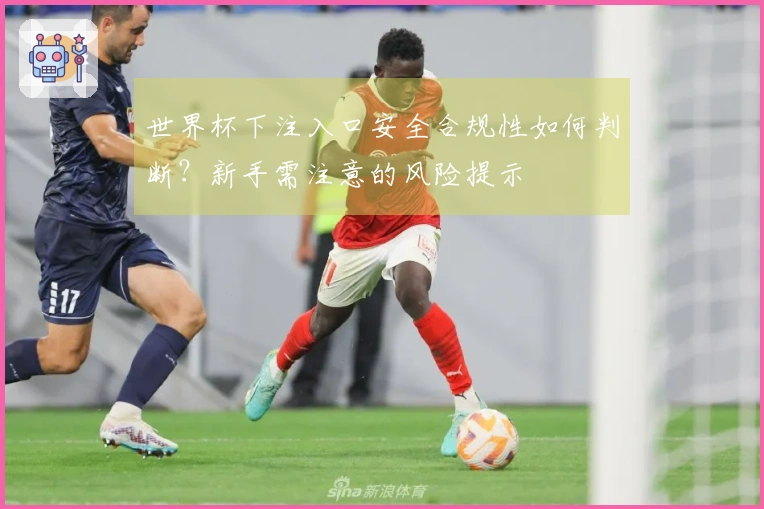 世界杯下注入口安全合规性如何判断？新手需注意的风险提示