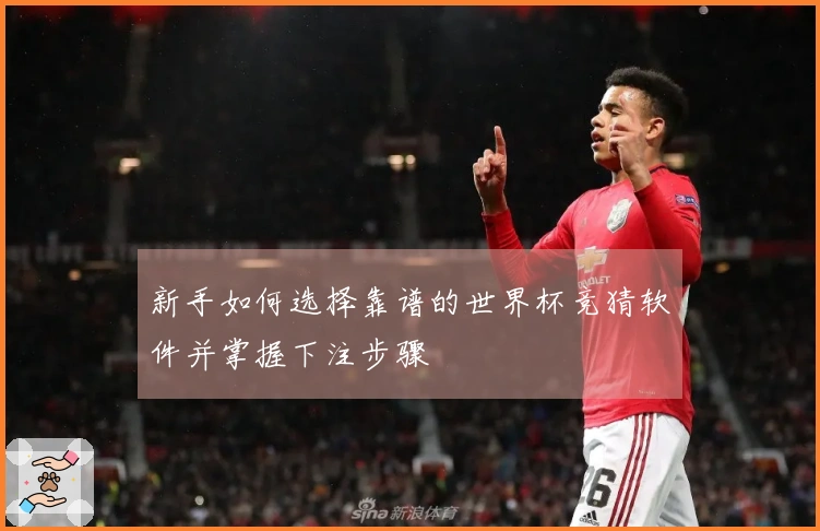 新手如何选择靠谱的世界杯竞猜软件并掌握下注步骤