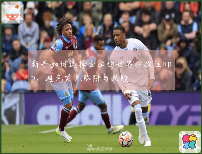 新手如何选择合适的世界杯投注app，避免常见陷阱与风险