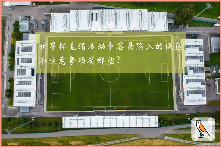 世界杯竞猜活动中容易陷入的误区和注意事项有哪些？