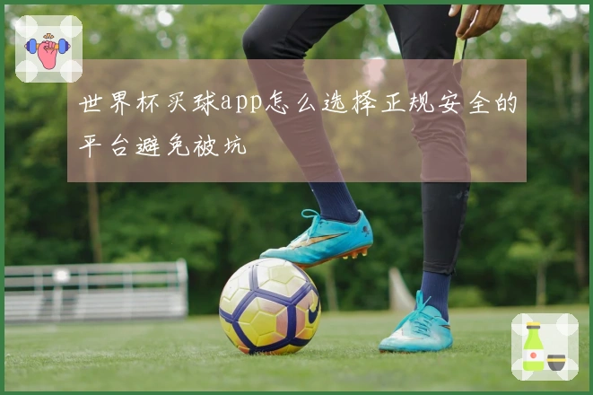 世界杯买球app怎么选择正规安全的平台避免被坑