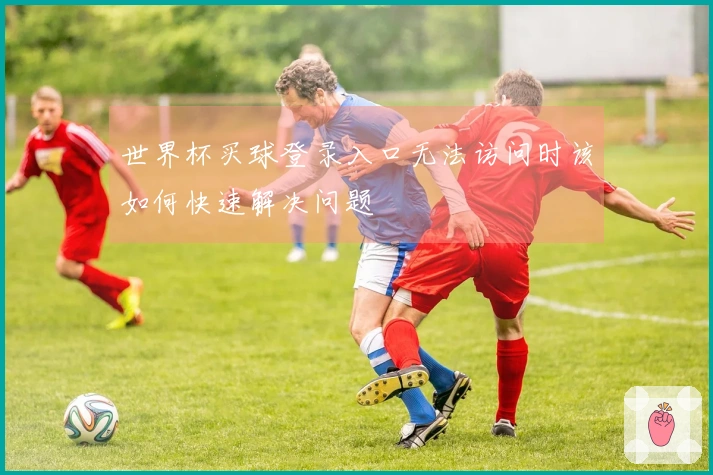 世界杯买球登录入口无法访问时该如何快速解决问题