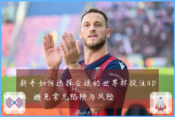 新手如何选择合适的世界杯投注app，避免常见陷阱与风险