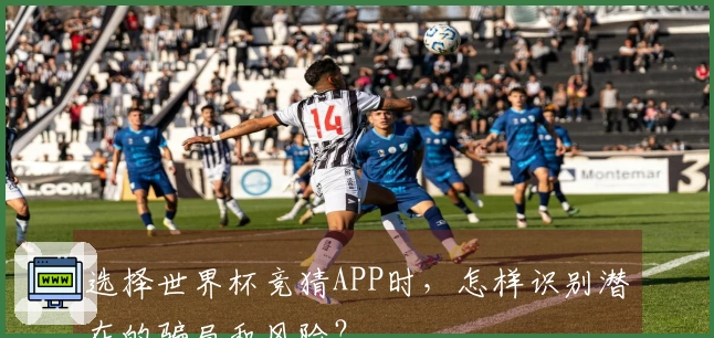选择世界杯竞猜APP时，怎样识别潜在的骗局和风险？