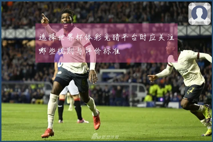 选择世界杯体彩竞猜平台时应关注哪些规则与评价标准