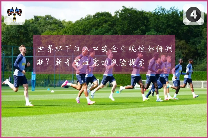 世界杯下注入口安全合规性如何判断？新手需注意的风险提示