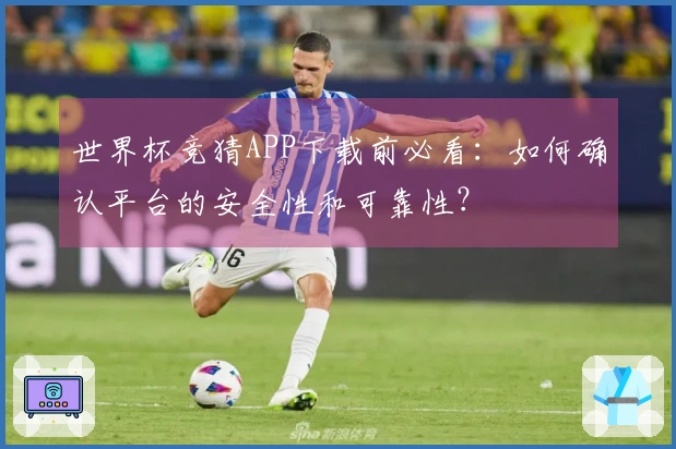 世界杯竞猜APP下载前必看：如何确认平台的安全性和可靠性？