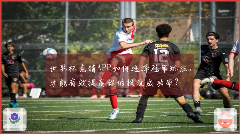世界杯竞猜APP如何选择冠军玩法，才能有效提高你的投注成功率？