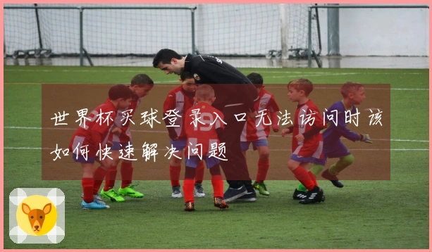 世界杯买球登录入口无法访问时该如何快速解决问题