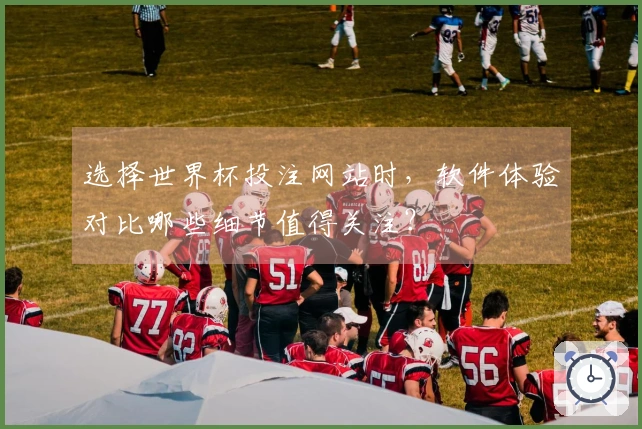 选择世界杯投注网站时，软件体验对比哪些细节值得关注？