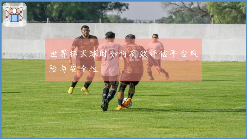 世界杯买球时如何有效评估平台风险与安全性