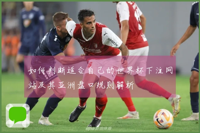 如何判断适合自己的世界杯下注网站及其亚洲盘口规则解析