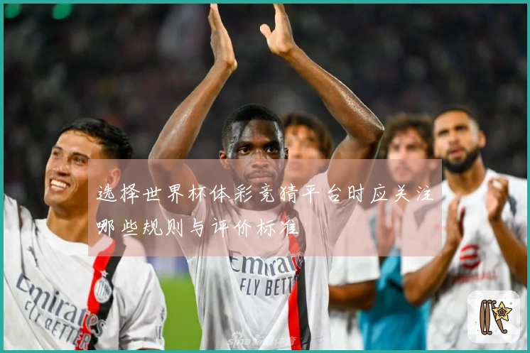 选择世界杯体彩竞猜平台时应关注哪些规则与评价标准