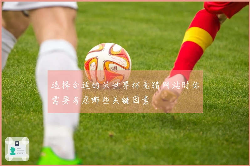 选择合适的买世界杯竞猜网站时你需要考虑哪些关键因素