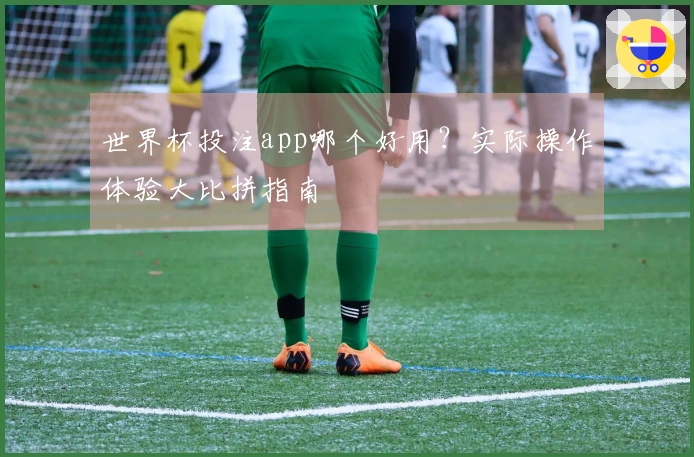 世界杯投注app哪个好用？实际操作体验大比拼指南