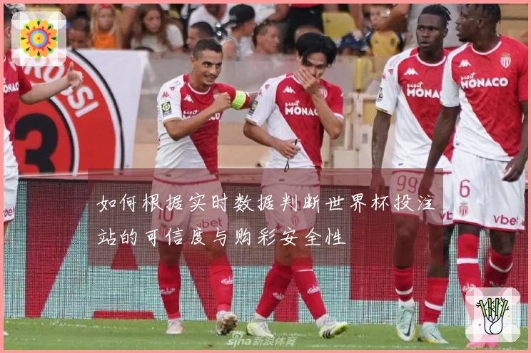 如何根据实时数据判断世界杯投注站的可信度与购彩安全性