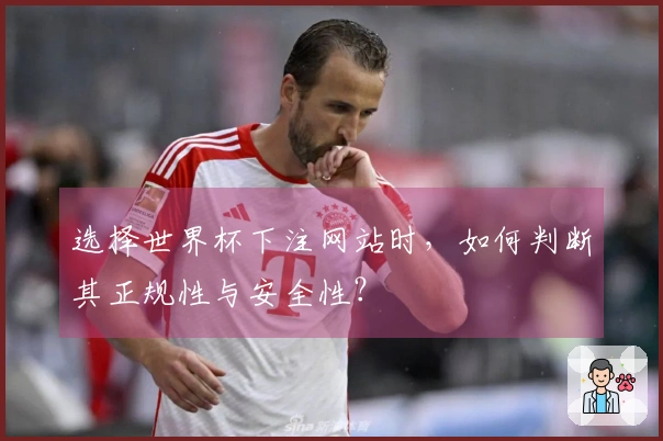 选择世界杯下注网站时，如何判断其正规性与安全性？