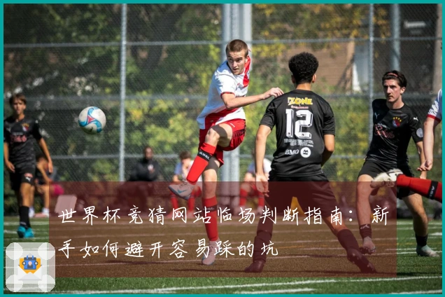 世界杯竞猜网站临场判断指南：新手如何避开容易踩的坑
